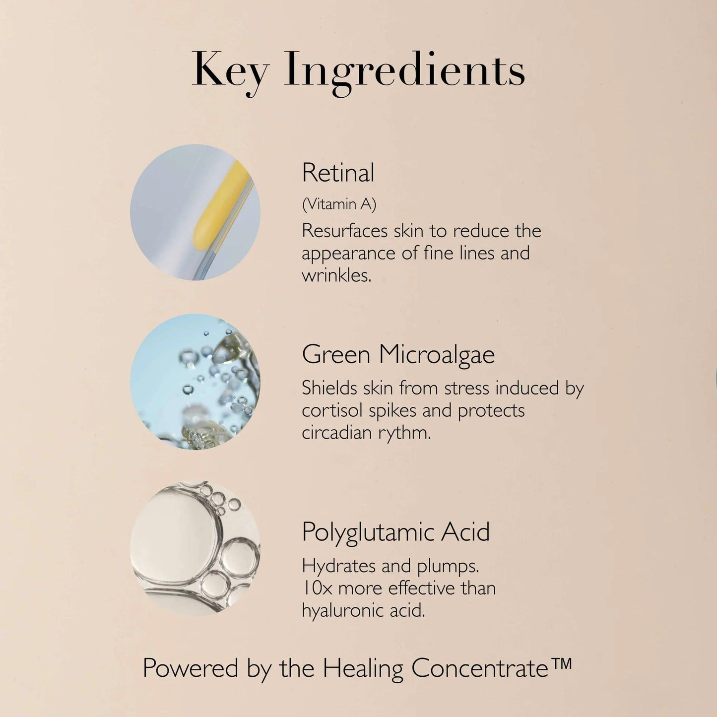 Midnight Renewal | Shop Omorovicza at London Beauty