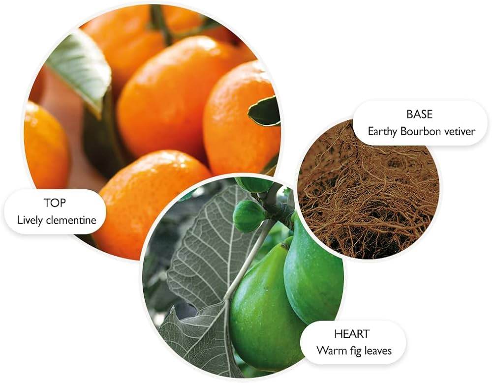 Sunlit Clementine & Vetiver Bath & Shower Gel - London Beauty