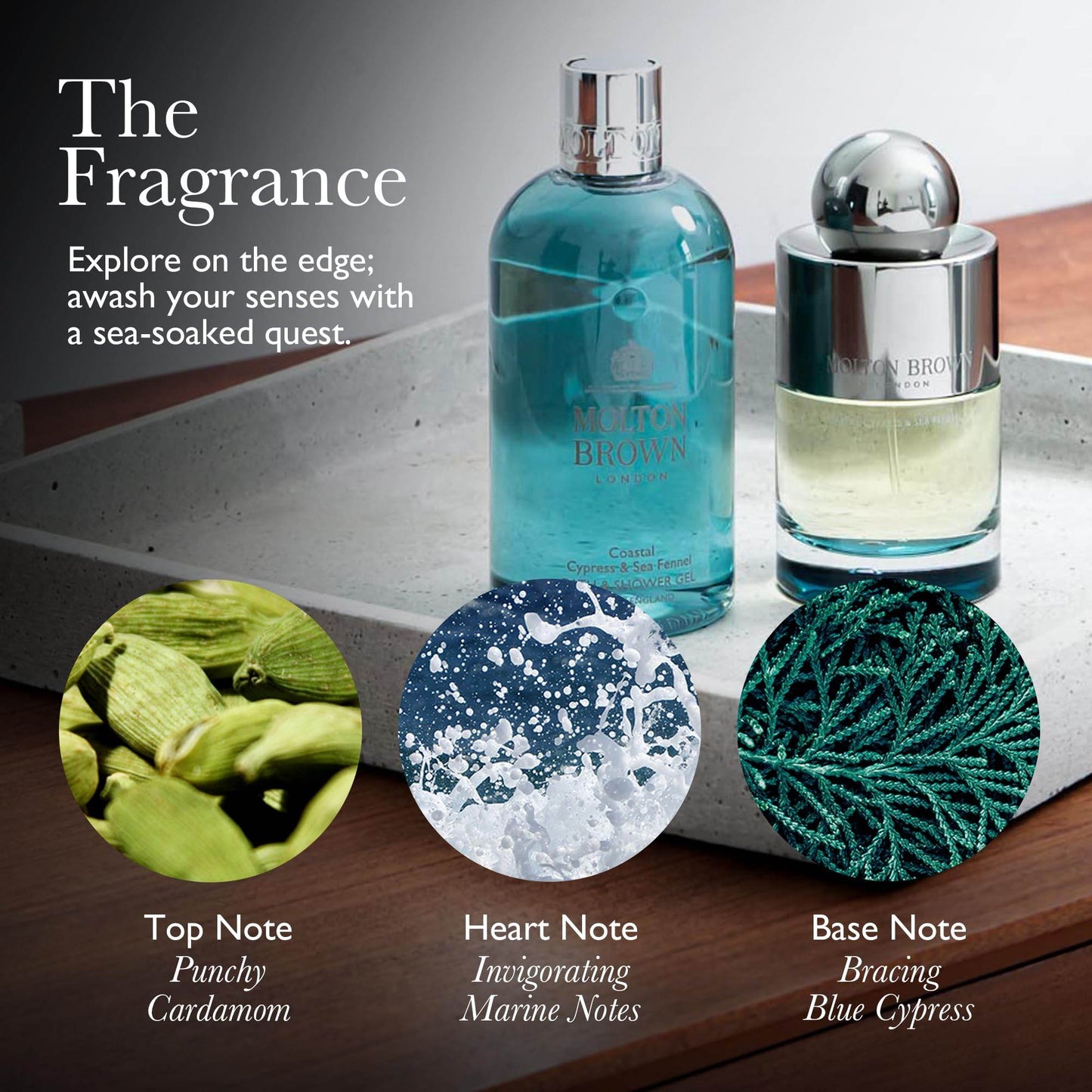 Coastal Cypress & Sea Fennel Fine Liquid Hand Wash - London Beauty