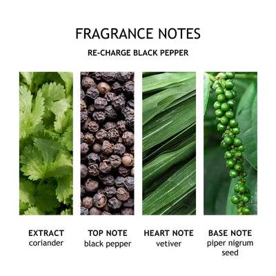 Re-Charge Black Pepper Body Lotion - London Beauty
