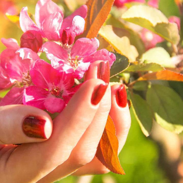 Long Lasting Nail Polish - London Beauty