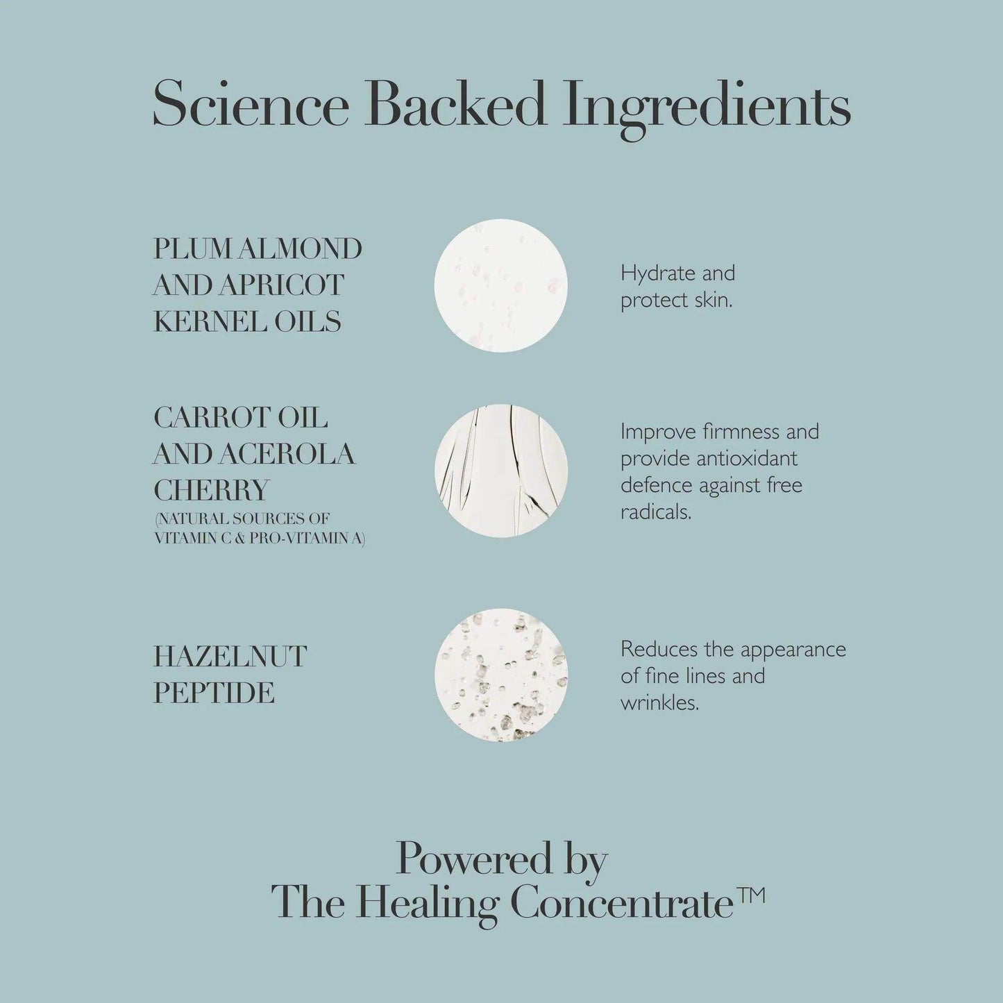 Rejuvenating Night Cream - London Beauty