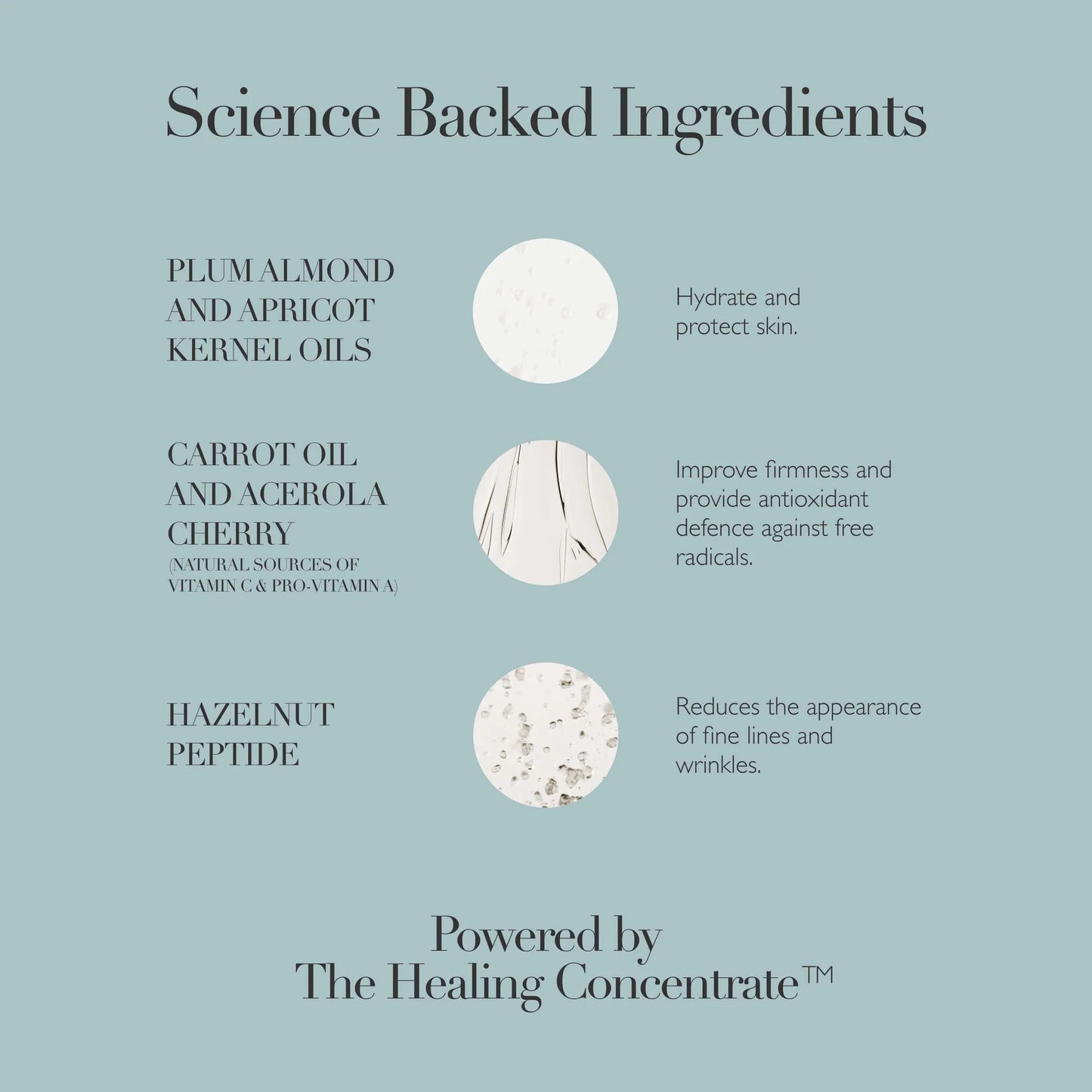 Rejuvenating Night Cream | Shop Omorovicza at London Beauty