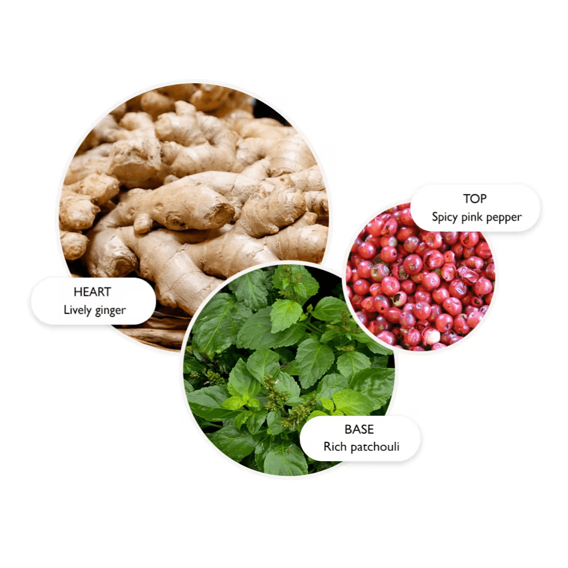 Fiery Pink Pepper Bath & Shower Gel - London Beauty