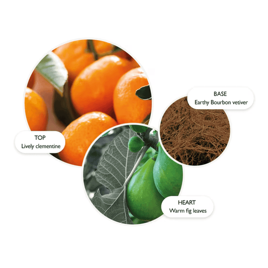 Sunlit Clementine & Vetiver Body Lotion - London Beauty