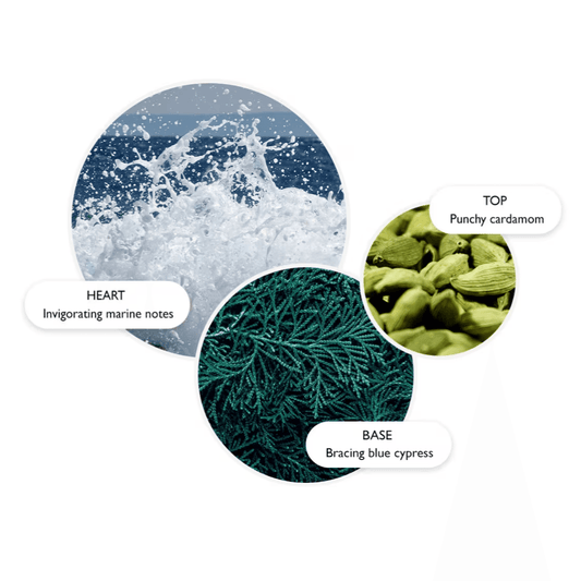 Coastal Cypress & Sea Fennel Body Lotion - London Beauty