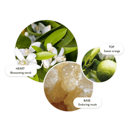 Orange & Bergamot Bath & Shower Gel - London Beauty