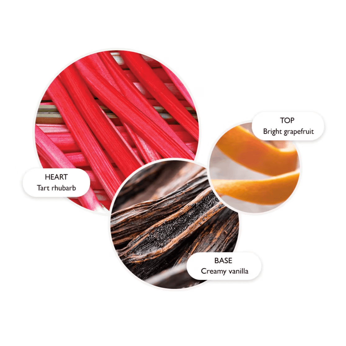 Delicious Rhubarb and Rose Fine Liquid Hand Wash - London Beauty