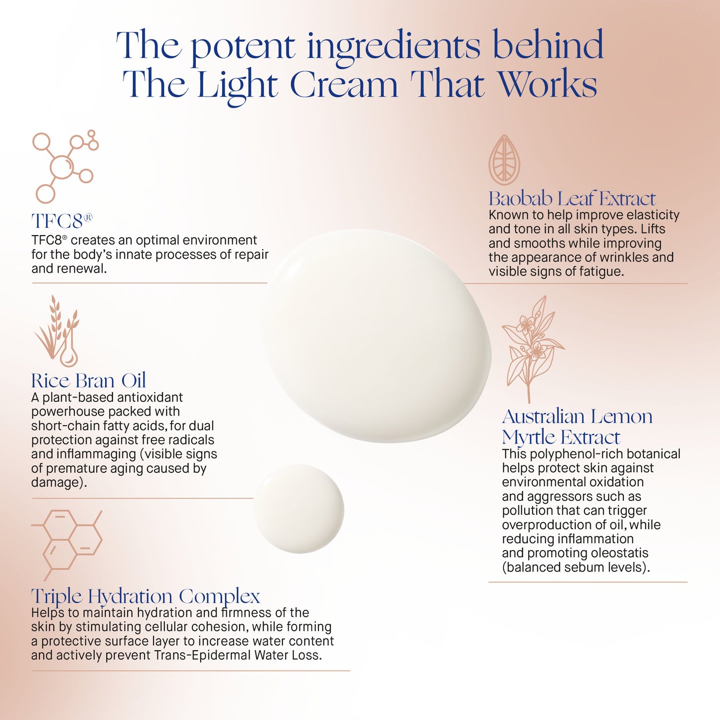 Infographic showcasing key ingredients of Augustinus Bader Light Cream with benefits for skin health