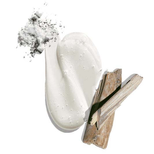 Big Sir Body & Hair Cleanser 33oz