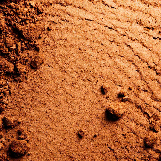 Le Hâle | Bronzing Powder - London Beauty