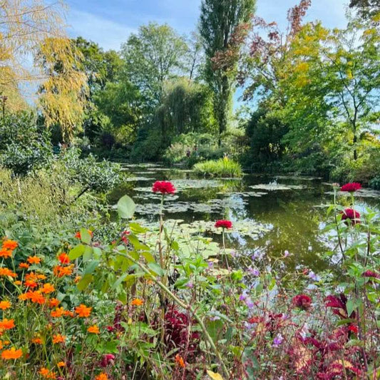 BONHEUR Scented Candle - London Beauty