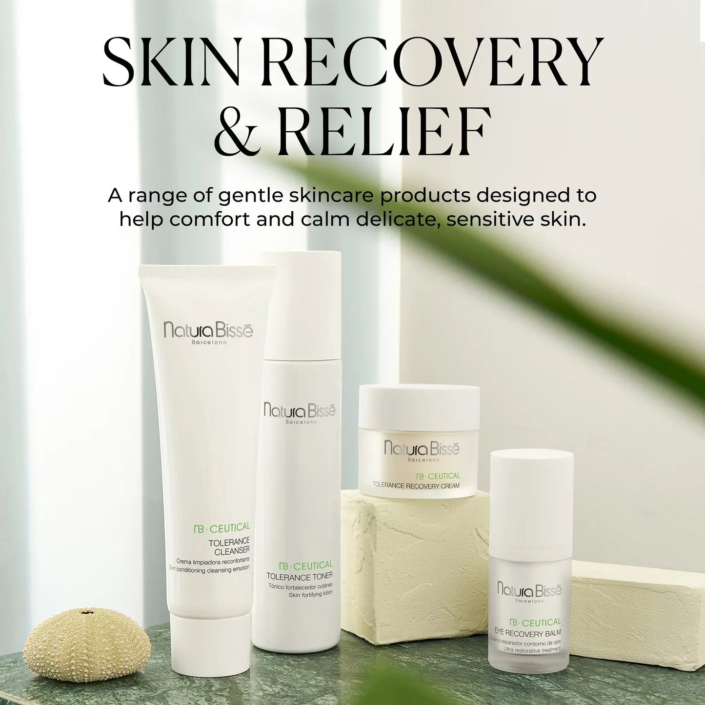 Natura Bissé Comforting Eye Contour Cream and skincare products for sensitive skin recovery