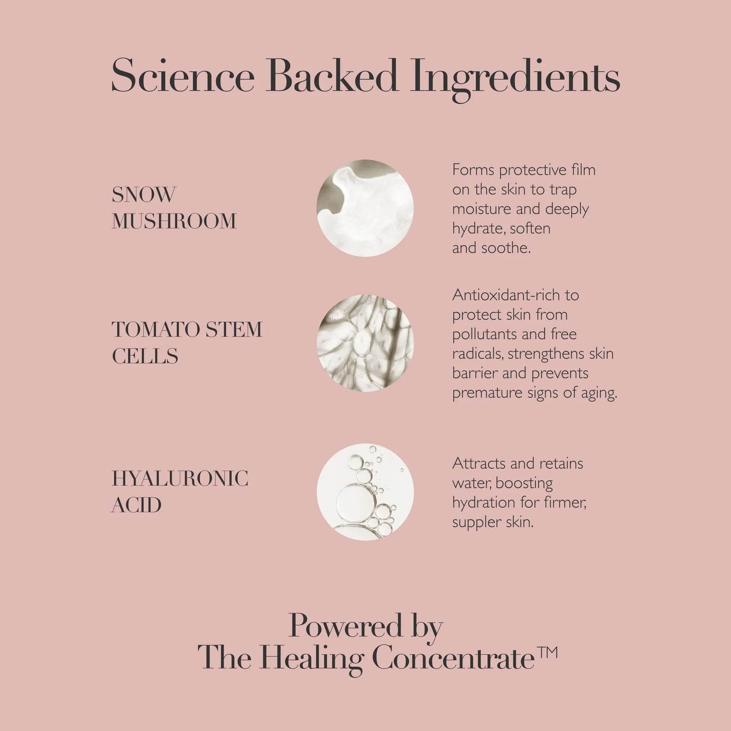 Queen Hydrating Essence - London Beauty