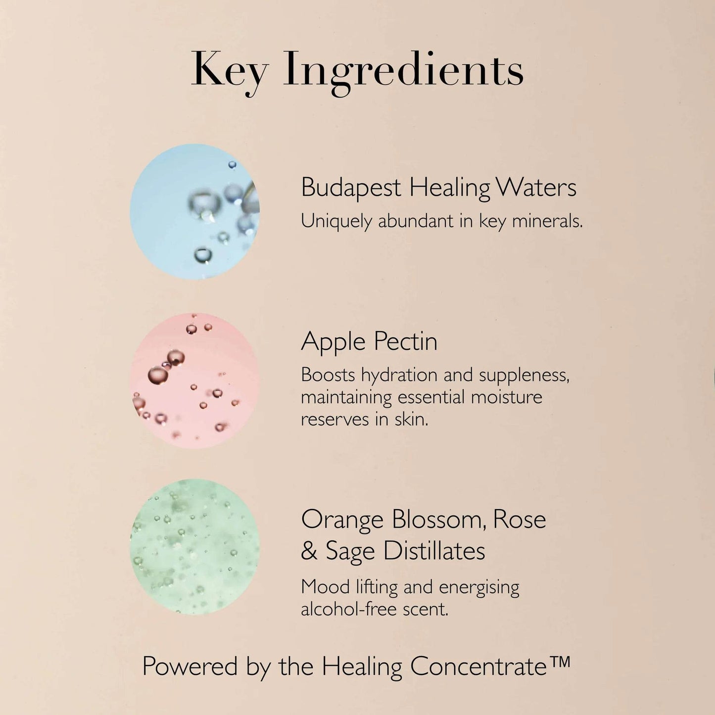Queen of Hungary Facial Mist - London Beauty