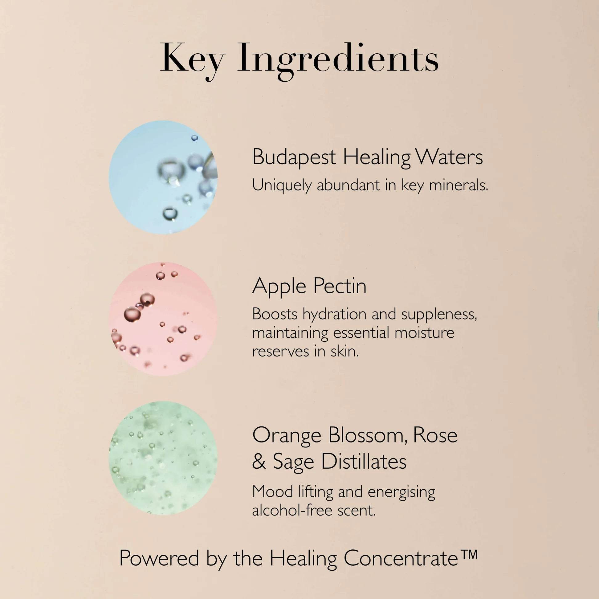 Queen of Hungary Facial Mist - London Beauty