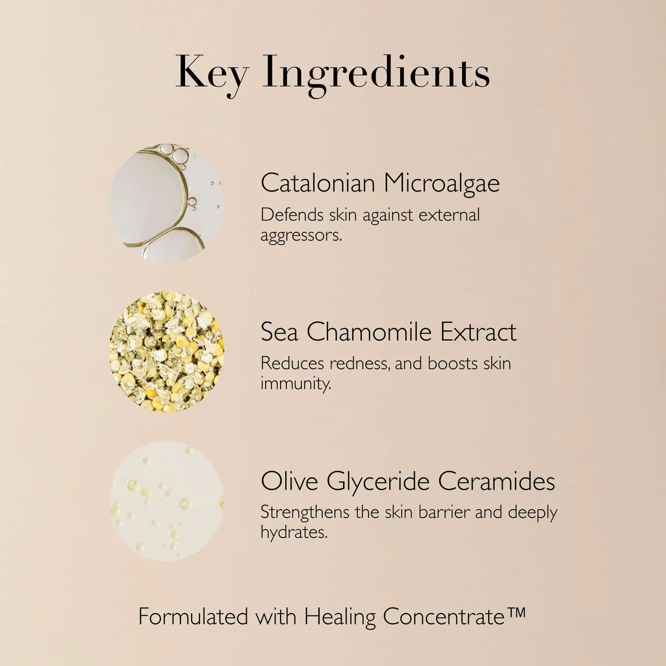 Key ingredients of Omorovicza Soothing Salve including Catalonian microalgae, sea chamomile extract, and olive glyceride ceramides