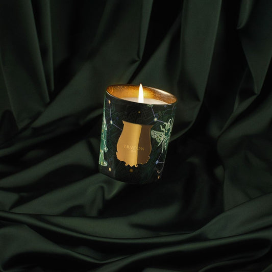 Fir Candle | Christmas Tree LIMITED EDITION