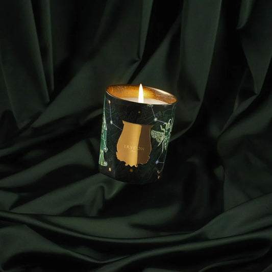 Fir Candle | Christmas Tree LIMITED EDITION