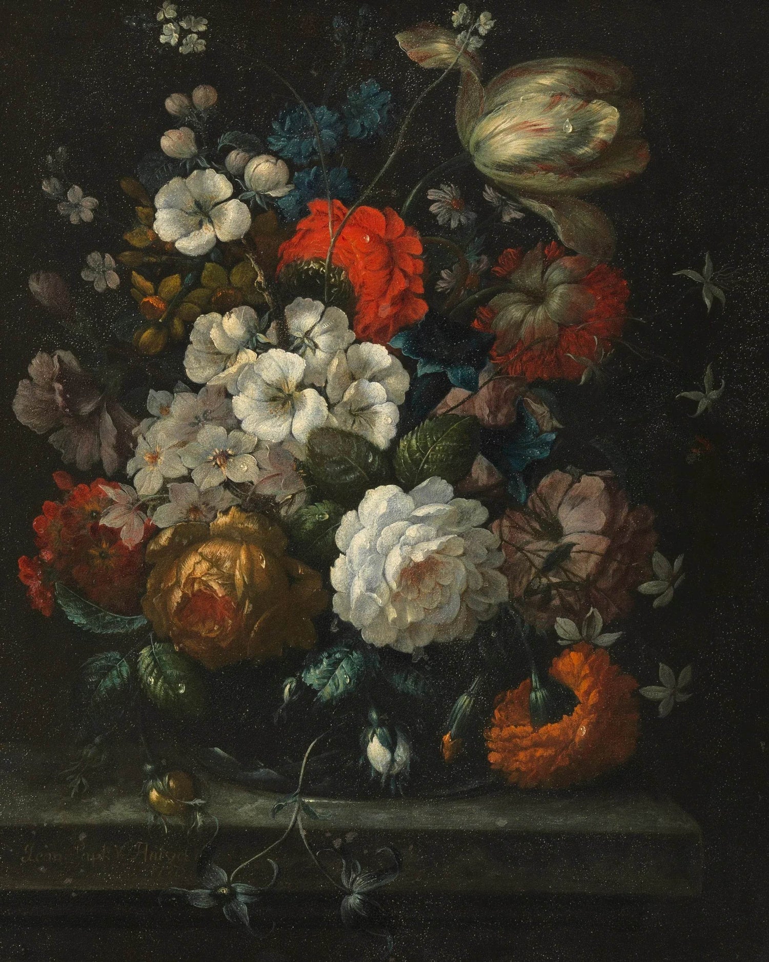 Floral - London Beauty