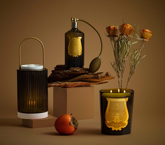 Trudon