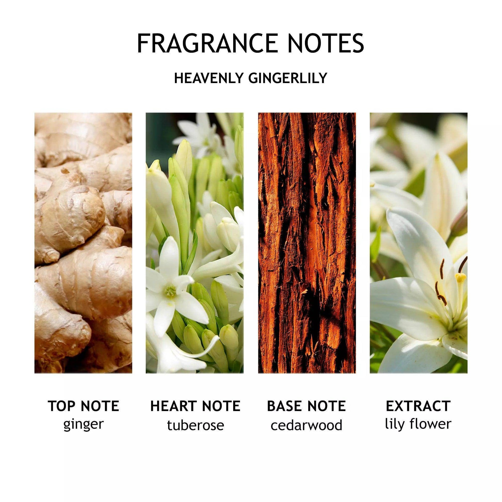 Heavenly Gingerlily Hand Lotion - London Beauty