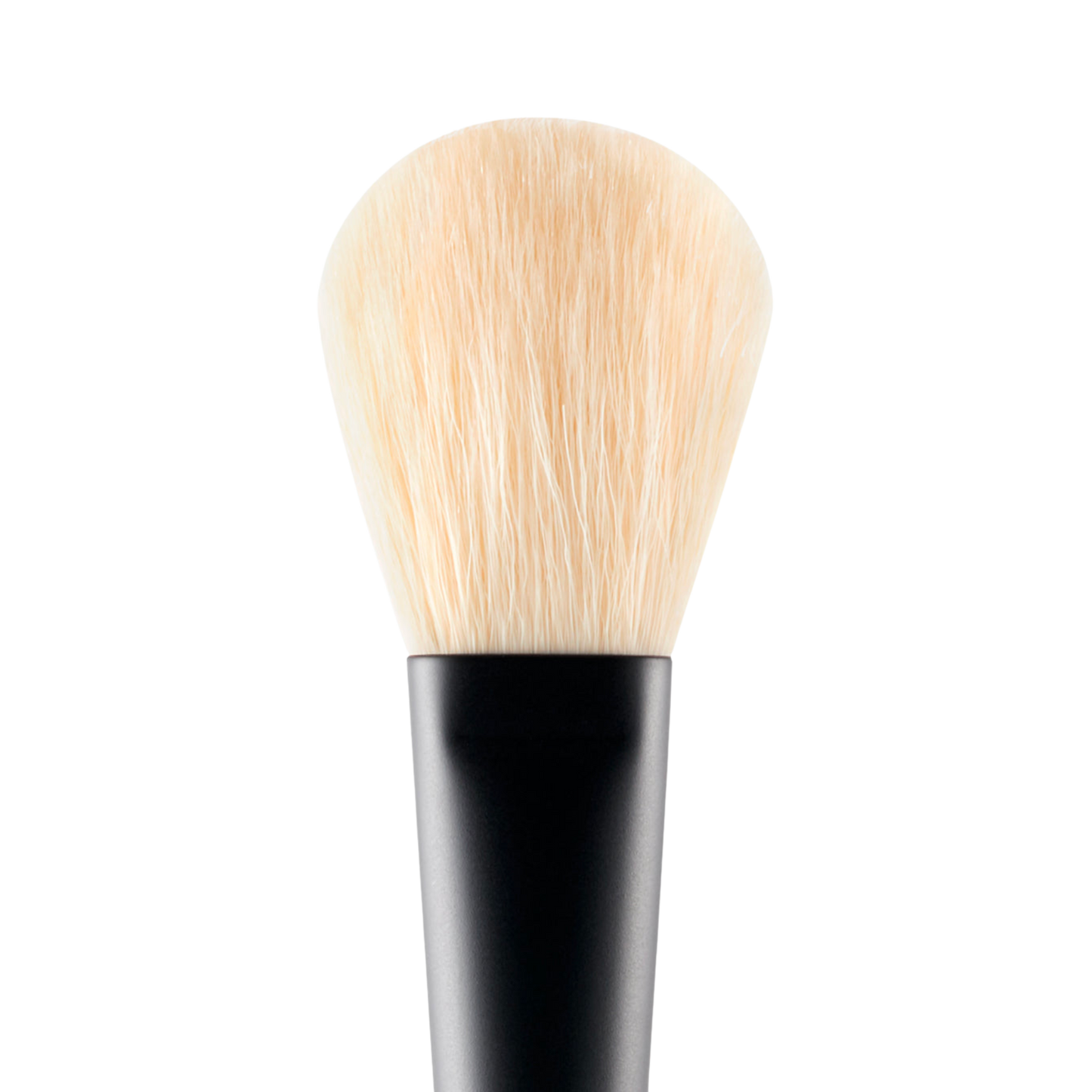 Powder Brush