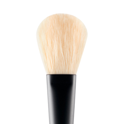 Powder Brush