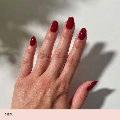 Nail Polish Mini System