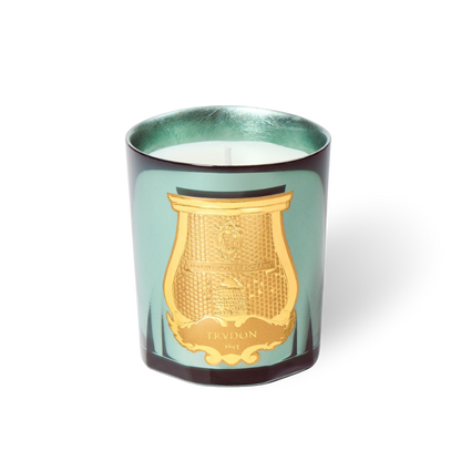 Fir Candle | Christmas Tree LIMITED EDITION