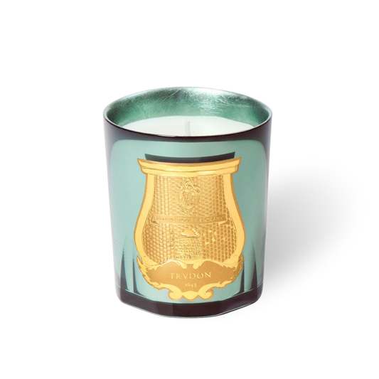Fir Candle | Christmas Tree LIMITED EDITION