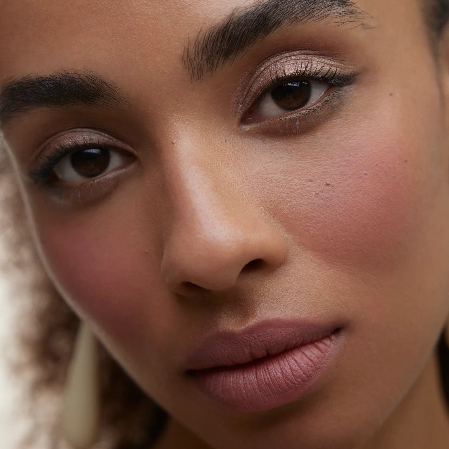Le Fard Blush | Shop Wonderblush at London Beauty