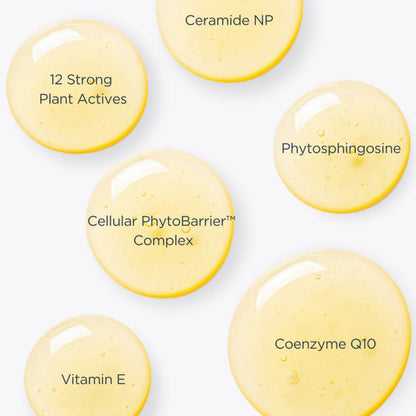 Barrier Revive Elixir