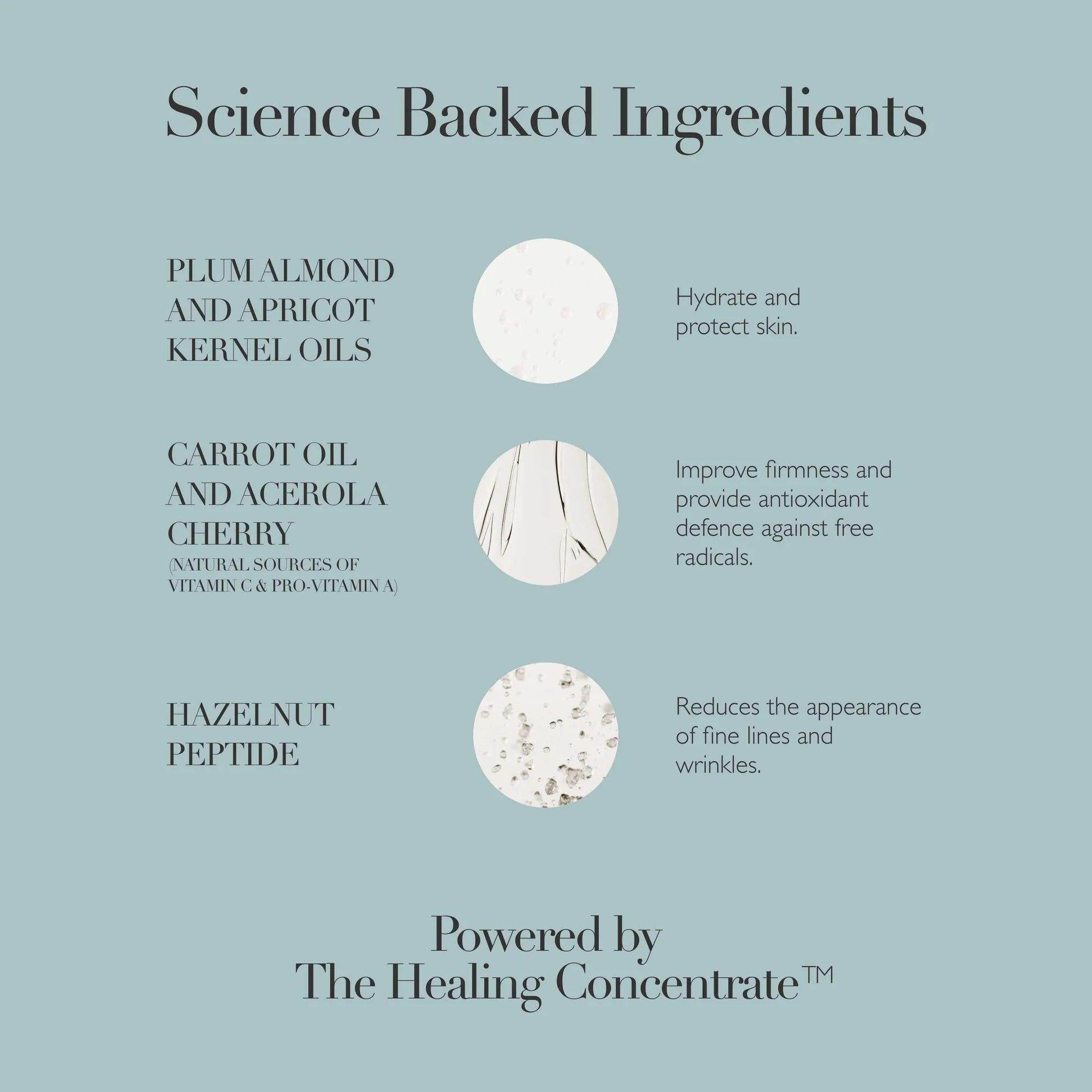 Rejuvenating Night Cream - London Beauty