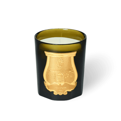 Spiritus Sancti Candle | Incense