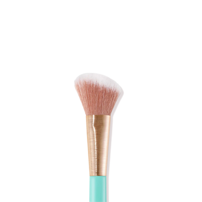 Angled Blush Brush