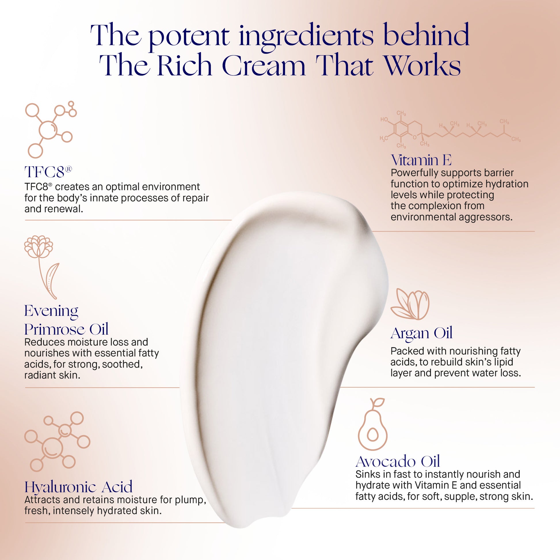 Infographic detailing potent ingredients in The Rich Cream for skin hydration and nourishment
