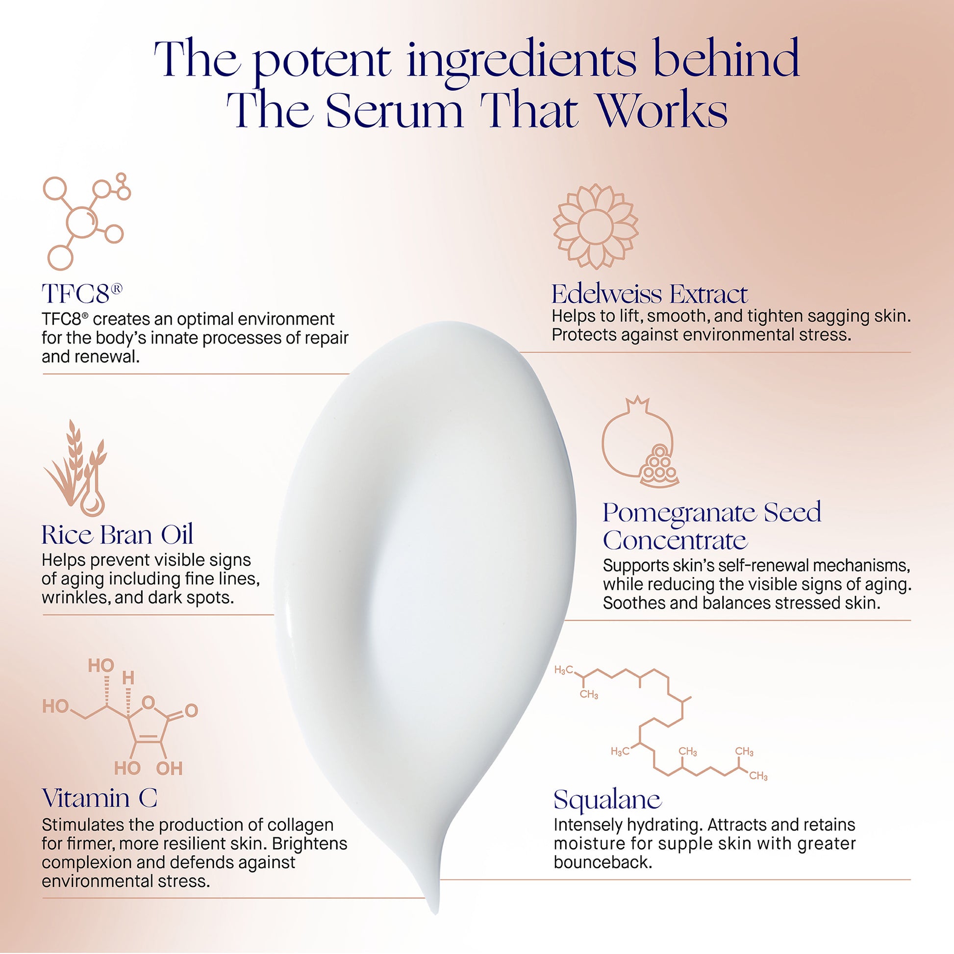Ingredient breakdown of The Serum featuring TFC8, Edelweiss Extract, and Rice Bran Oil for skin renewal