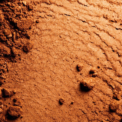 Le Hâle | Bronzing Powder - London Beauty