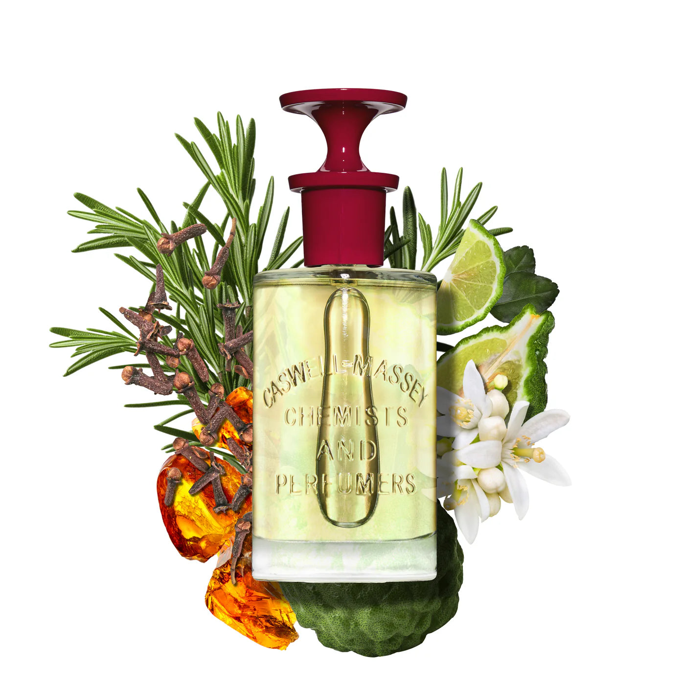Caswell-Massey Number Six Eau De Parfum bottle with natural ingredients like herbs, flowers, and citrus