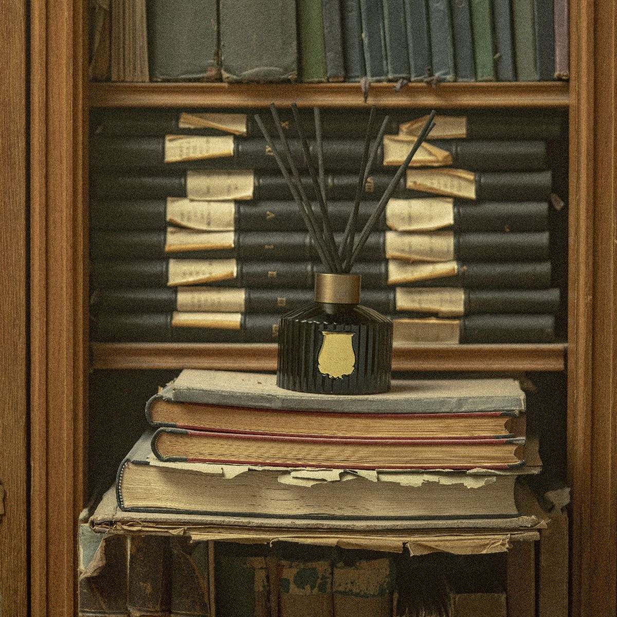 Trudon diffuser on a stack of vintage books, creating an elegant and aromatic atmosphere