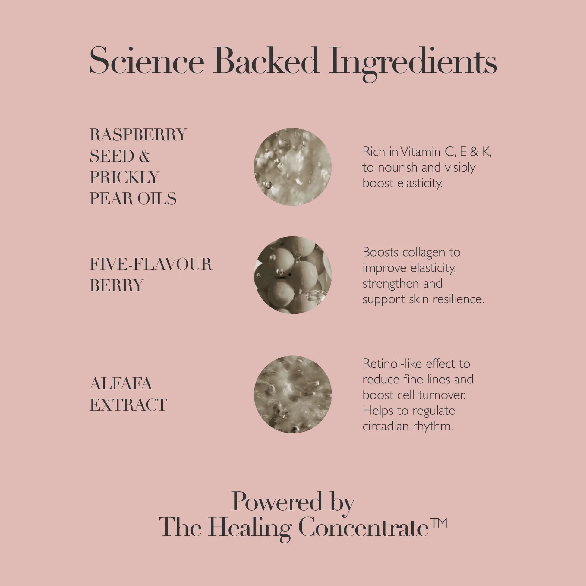 Omorovicza Facial Oil featuring raspberry seed and prickly pear oils for improved skin elasticity and nourishment.