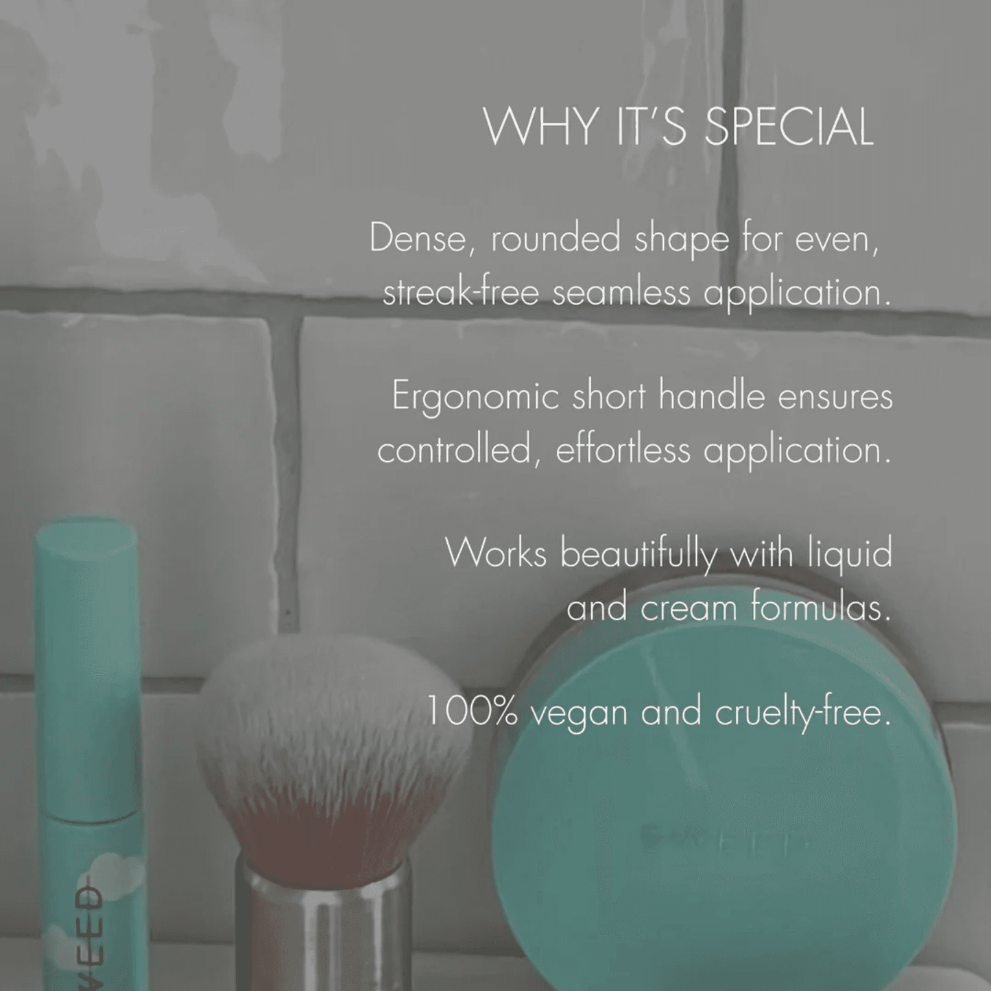 Foundation Brush
