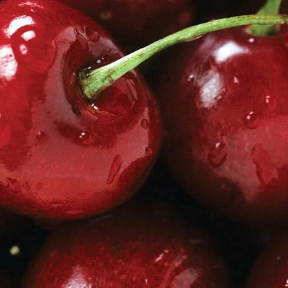 Radical Difference | Advanced Antioxidant Serum - London Beauty