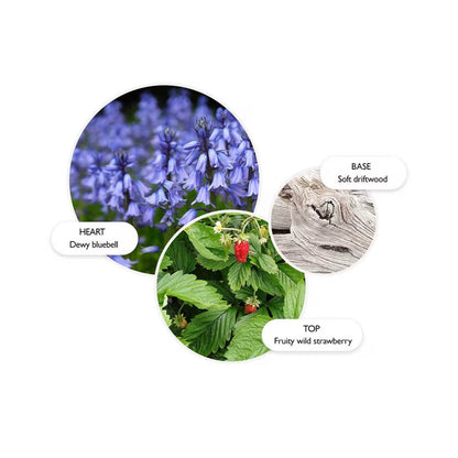 Bluebell & Wild Strawberry Body Lotion - London Beauty