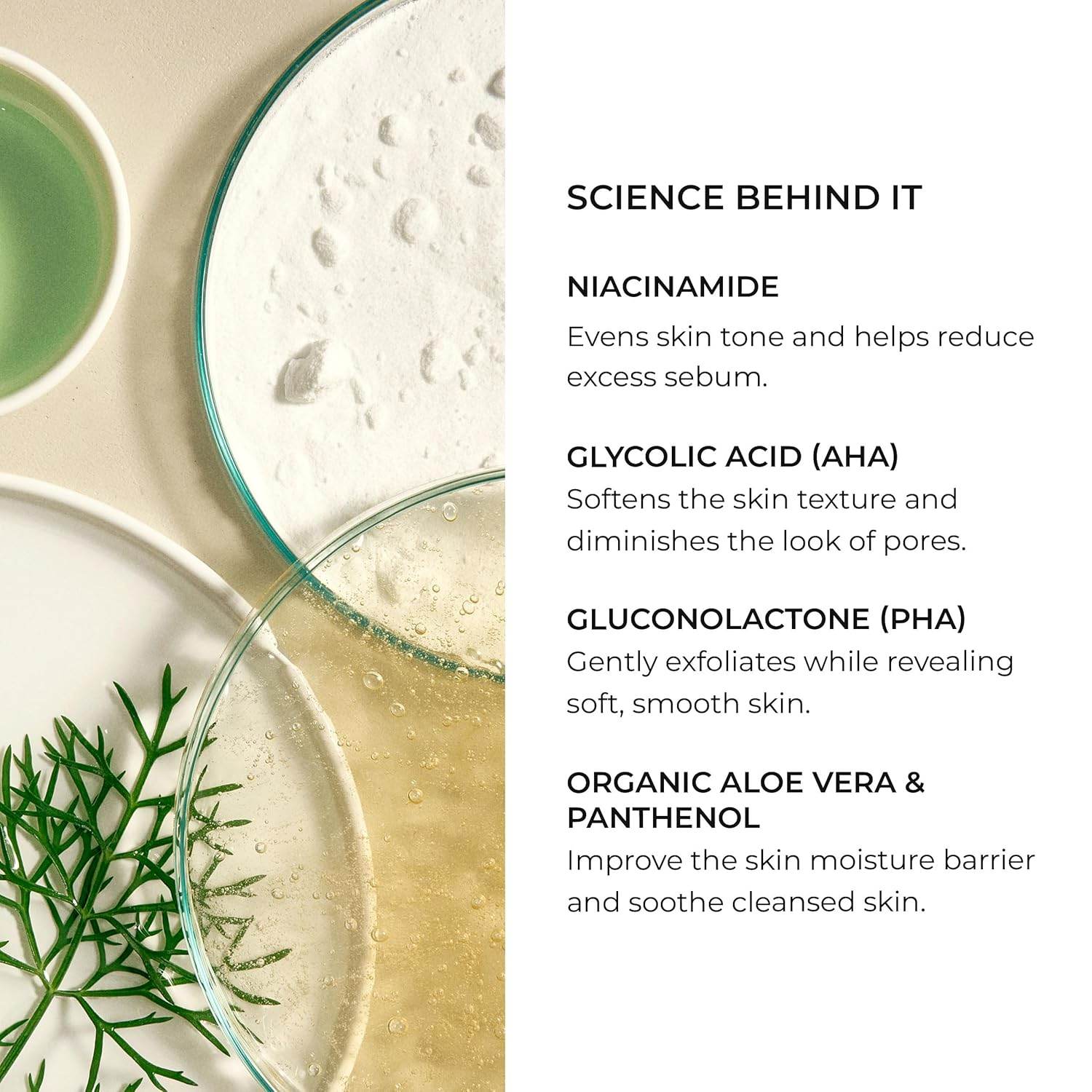 Natura Bisse Cleansing Exfoliating Gel ingredients showcasing niacinamide and organic aloe vera.