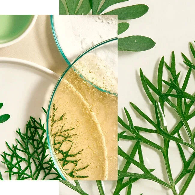 Natura Bissé Soothing Toner in a jar with green leaves for calming skin care routine