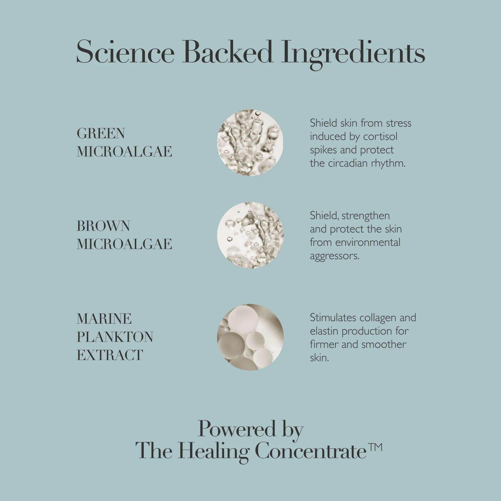 Omorovicza Cushioning Day Cream with green microalgae and marine plankton for skin protection