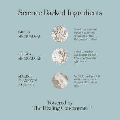 Omorovicza Cushioning Day Cream with green microalgae and marine plankton for skin protection