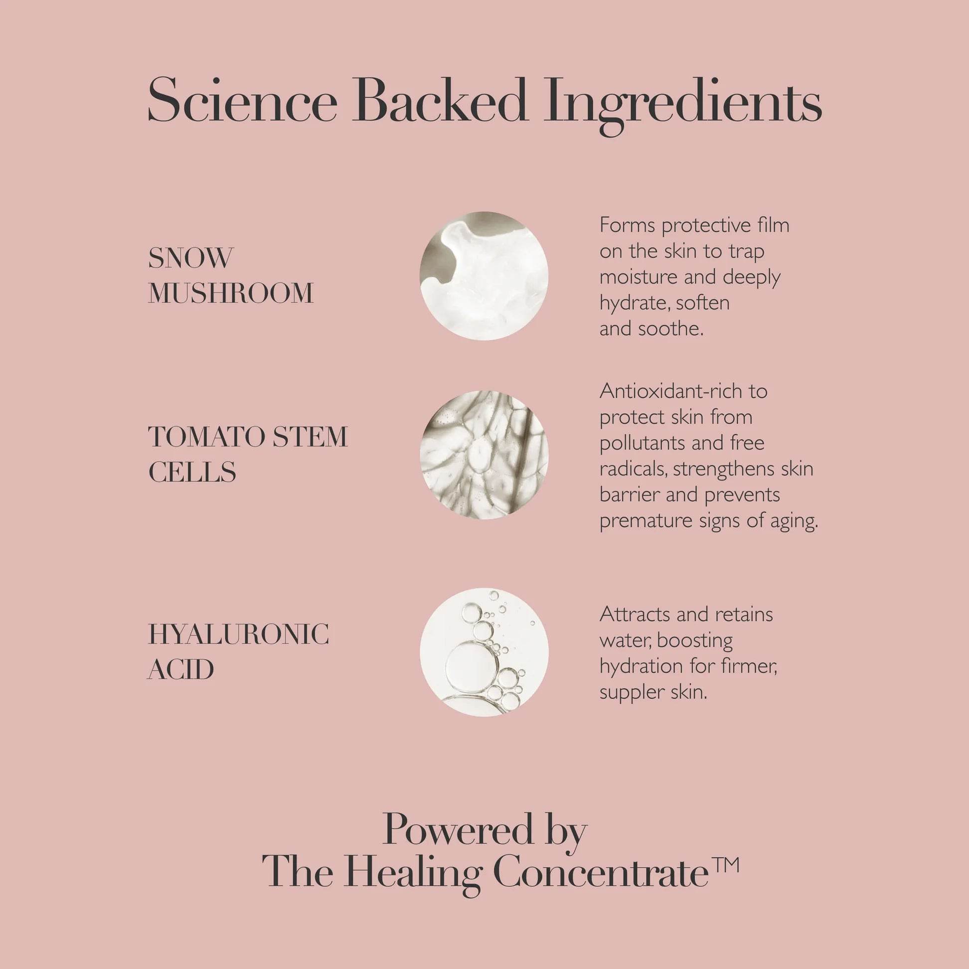 Omorovicza Hydrating Essence features snow mushroom, tomato stem cells, and hyaluronic acid for deep hydration